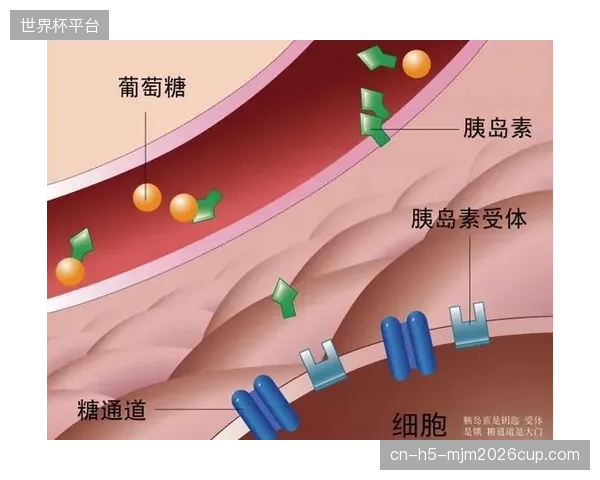新兴趋势显示，远程康复的采用率激增了60%，同时数字物理治疗方案将患者依从性提高了40%